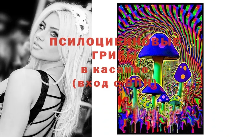 Галлюциногенные грибы Magic Shrooms  Новоалтайск 